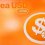 سیتریا یو اس دی (Citrea USD)