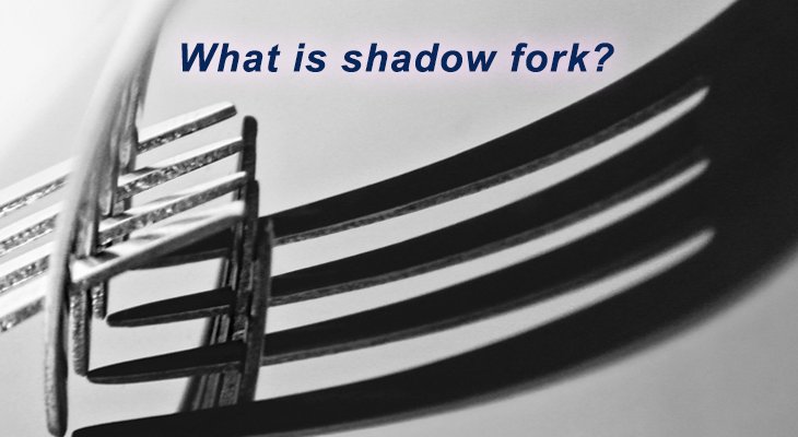 شدو فورک (Shadow Fork) چیست؟