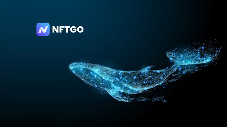 معرفی وبسایت NFTGo