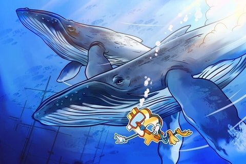 نهنگ BitMEX قیمت بیت کوین را در طی فروش بیت کوین به 8.9 هزار دلار رساند