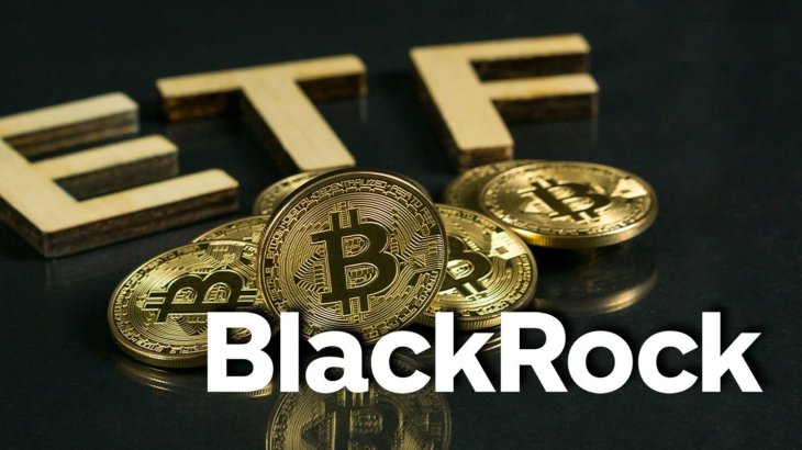 ETF بلک راک ، بیشترین ورودی را در 35 روز گذشته مشاهده می کند