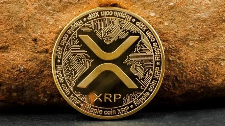 رشد فعالیت شبکه XRP همزمان با افزایش ورود سرمایه به ETF ها