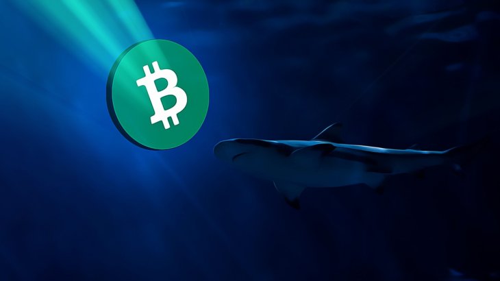 سقوط 80 میلیارد دلاری بازار رمزارزها پس از کاهش نرخ بهره فدرال رزرو