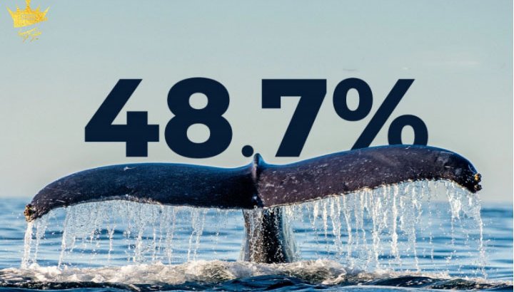 نهنگ ها اکنون 48.7٪ از کل بیتکوین ها را در اختیار دارند
