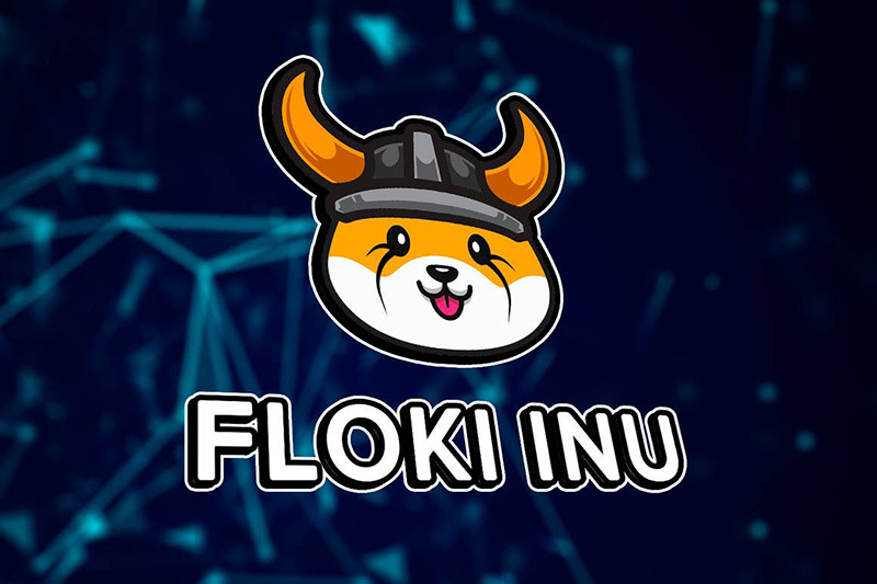 ارز دیجیتال فلوکی اینو (Floki Inu) چیست؟ و نحوه خرید آن