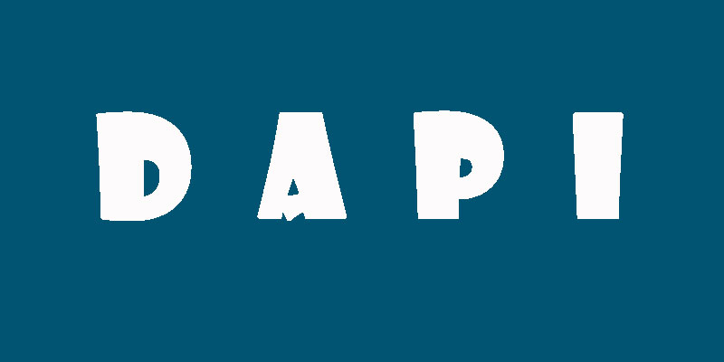 API غیرمتمرکز (dAPI) چیست؟