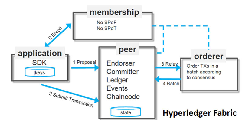 نقش گره ها یا Peers در هایپرلجر فابریک