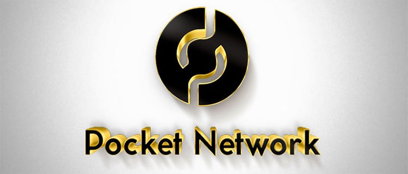 شبکه Pocket چگونه کار می کند؟
