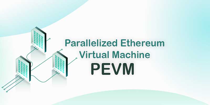 معایب ماشین مجازی اتریوم موازی(PEVM)