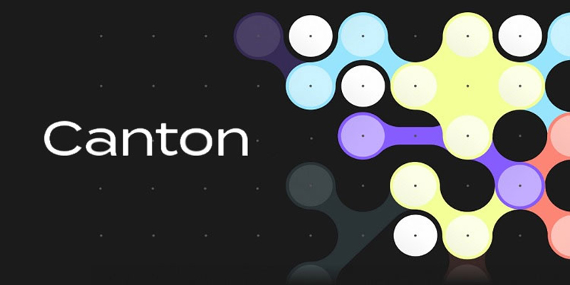 ساختار بلاک چین Canton