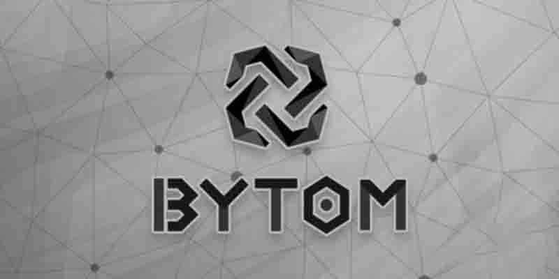 تیم توسعه دهنده و رهبری پروژه Bytom