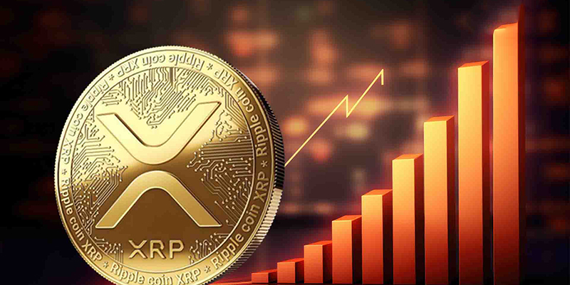 کاربردهای دامیننس ریپل در بازار 