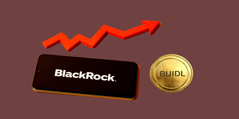 دلیل ایجاد صندوق BUIDL بلک راک 