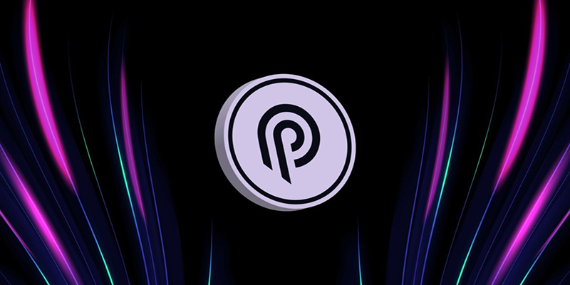 پایت نتورک چیست؟