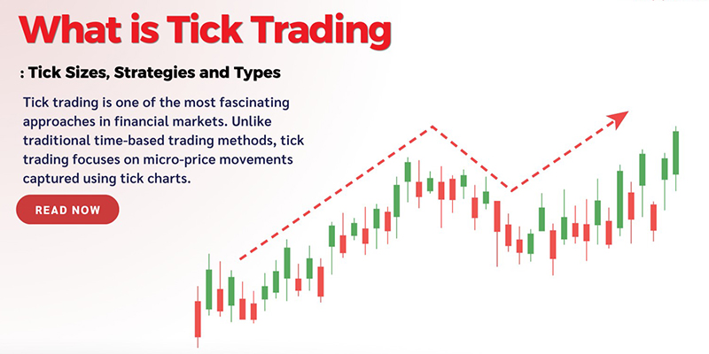تیک اسکالپینگ چیست؟