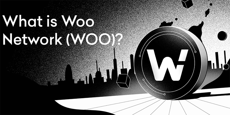 تاثیر بنیانگذاران در شکل ‌گیری Woo Network  