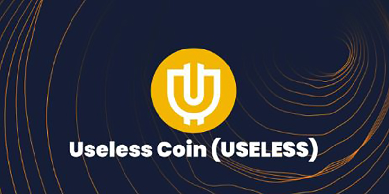 تیم توسعه دهنده یوزلس کوین