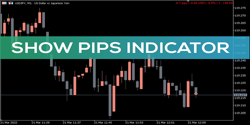 ابزار اندازه گیری پیپ در متاتریدر
