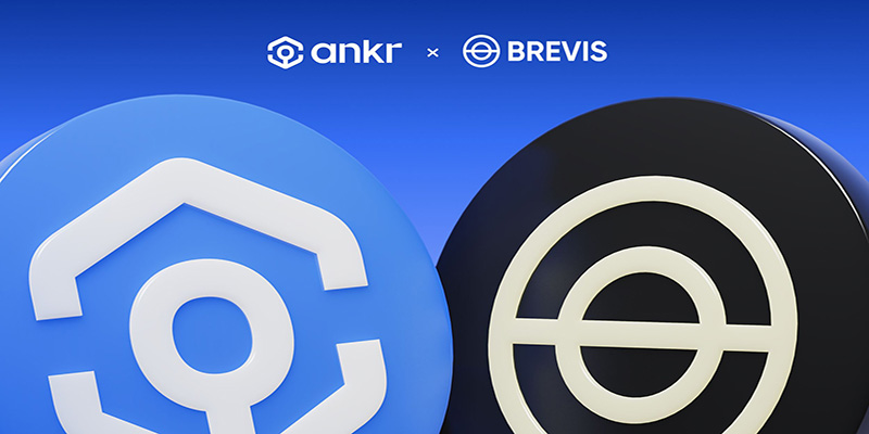 کاربردهای بریویس چیست؟