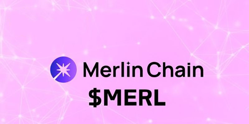 تیم توسعه دهنده Merlin Chain