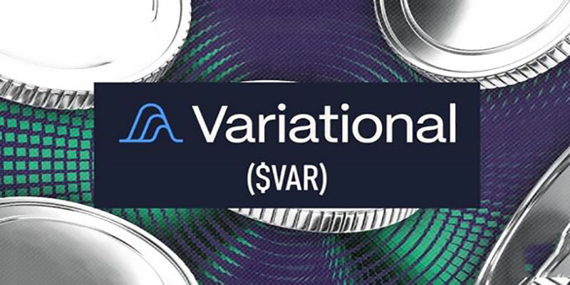 وریشنال پرو (Variational Pro) چیست؟