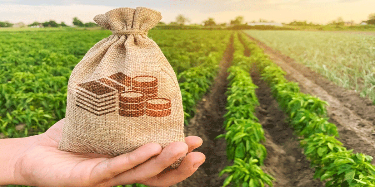 مالیات بر درآمد کشاورزی از انواع مالیات