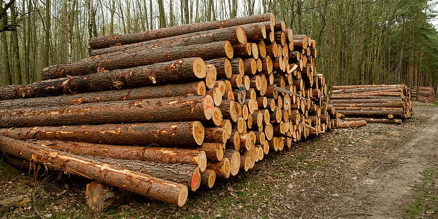 تامین چوب یکی از عوامل موثر بر سودآوری شرکت های فعال در گروه محصولات چوبی
