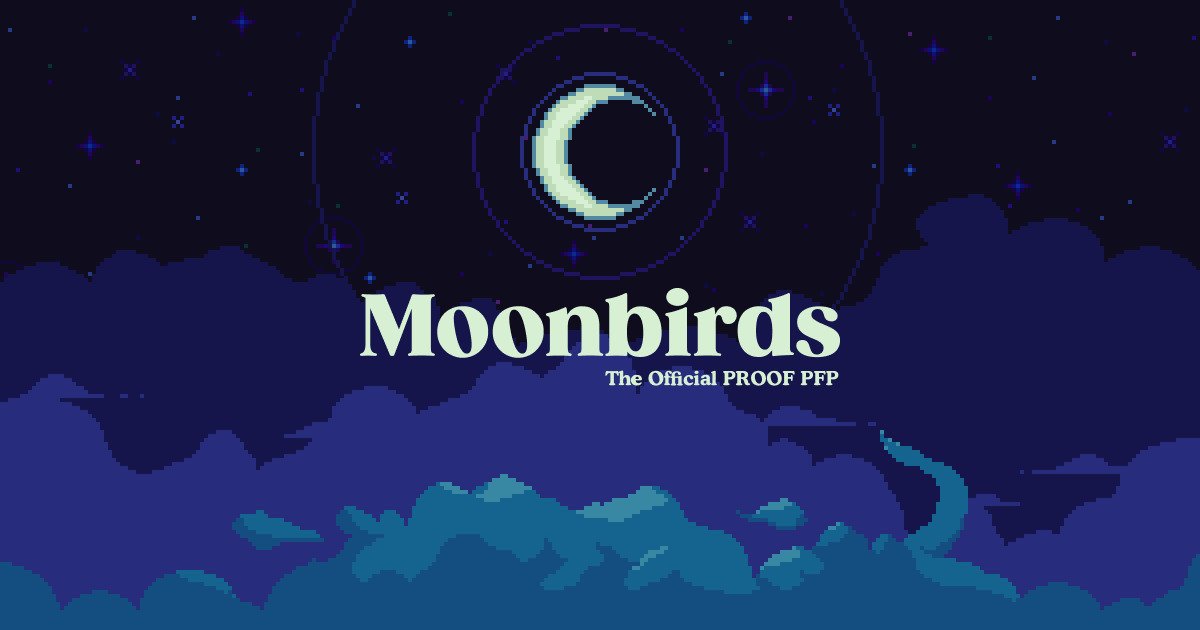سرمایه گذاری مجموعه MoonBirds