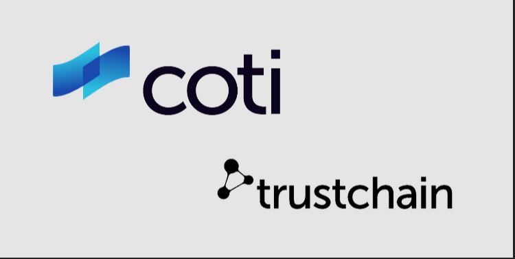 روش کار شبکه COTI جگونه است؟