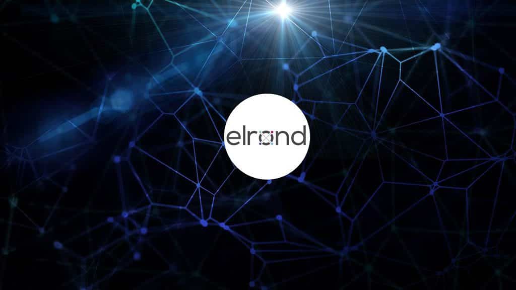 امنیت در ELROND چگونه تامین می شود؟
