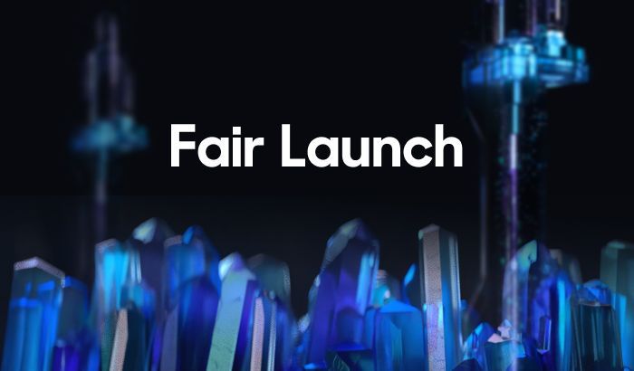کدام پروژه ها با استفاده از روش Fair launch راه اندازی شده اند؟